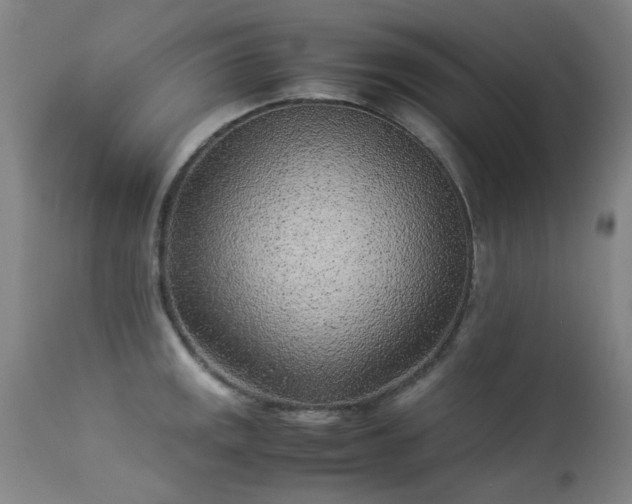 X0000113331141200909211214