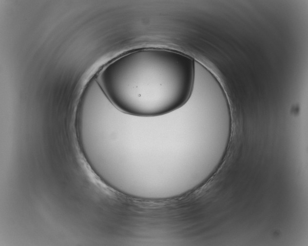 X0000113331144200909211214