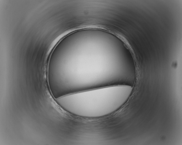 X0000113331148200909211214