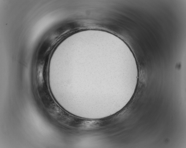 X0000113331150200909211214