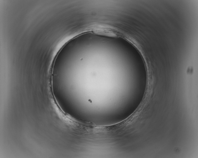 X0000113331152200909211214