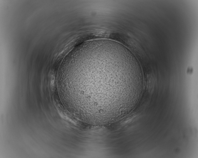 X0000113331154200909211213