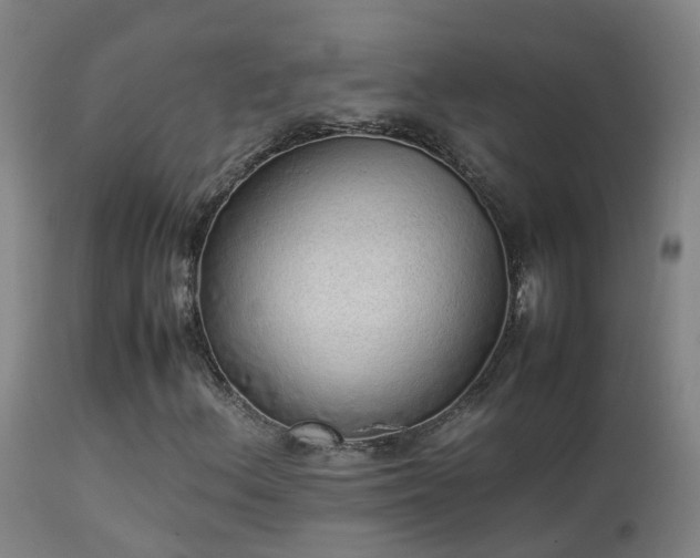X0000113331156200909211213