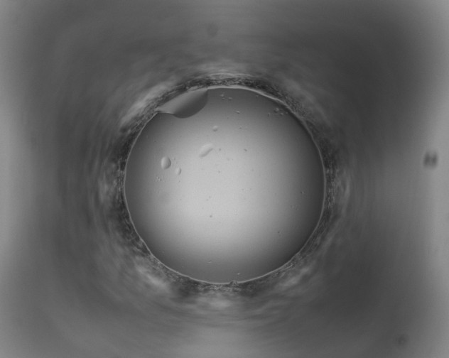 X0000113331157200909211213