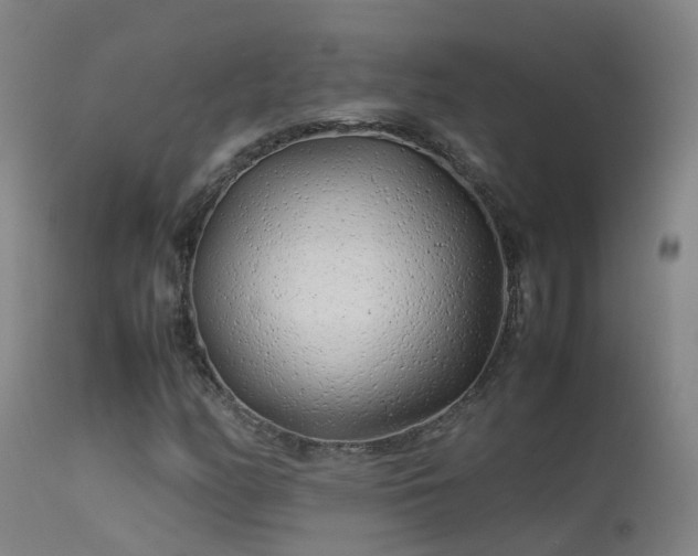 X0000113331158200909211213