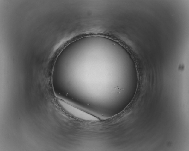 X0000113331160200909211213