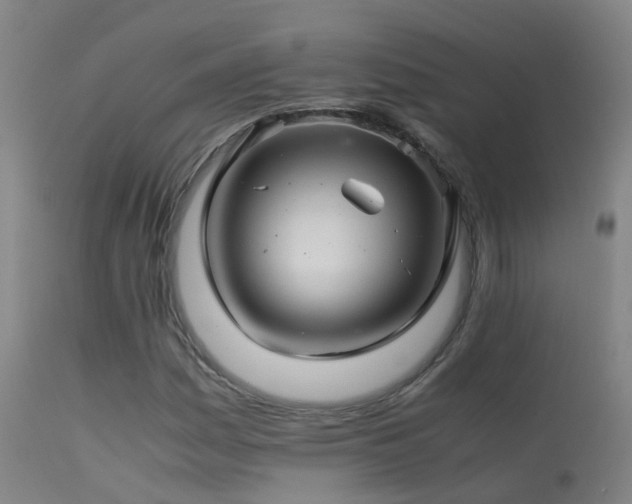 X0000113331161200909211213