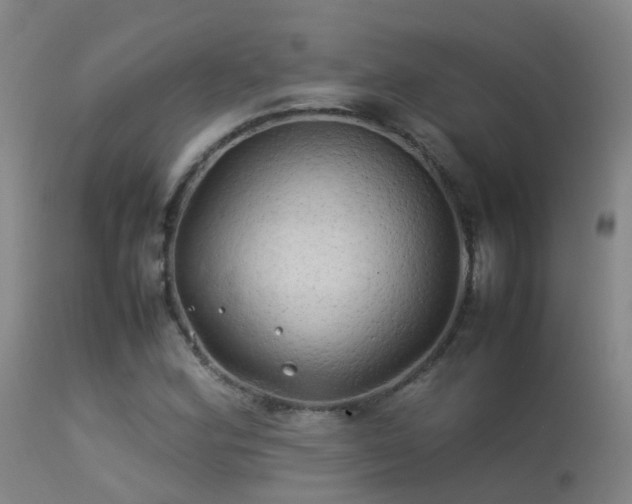 X0000113331164200909211213