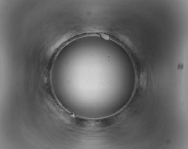 X0000113331165200909211213