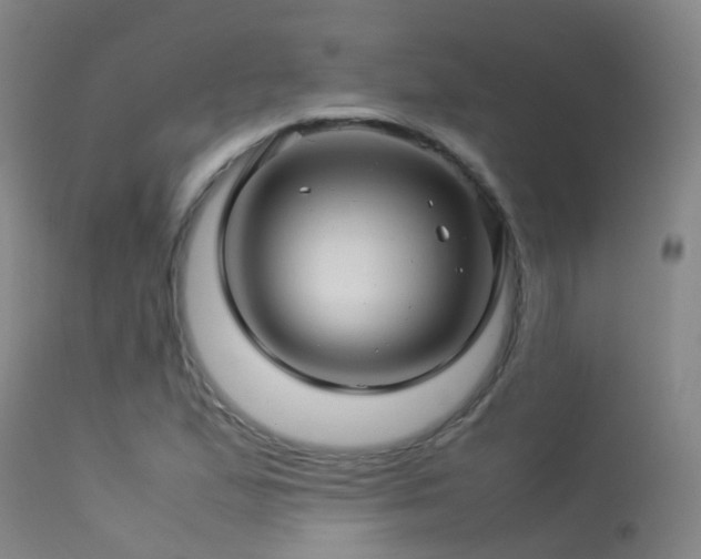 X0000113331167200909211213