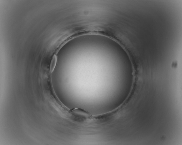 X0000113331169200909211213
