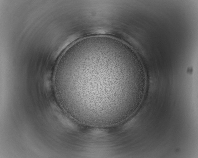 X0000113331170200909211213