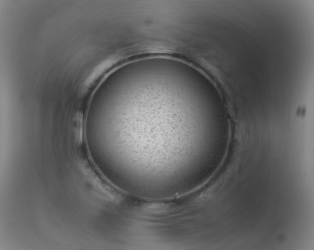 X0000113331171200909211213