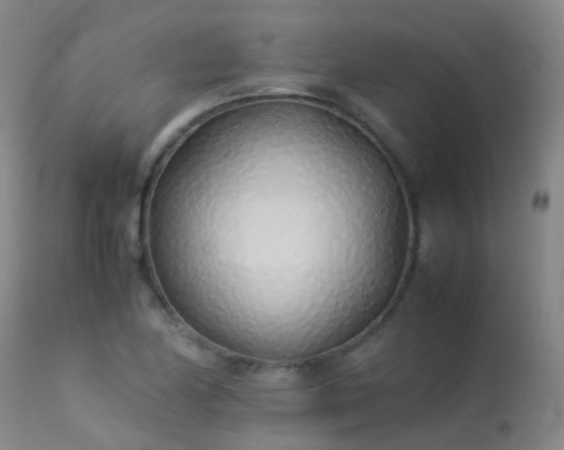 X0000113331174200909211213