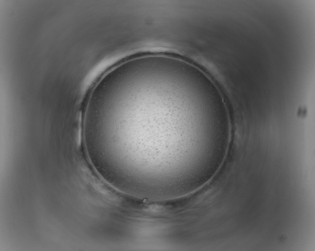 X0000113331175200909211213