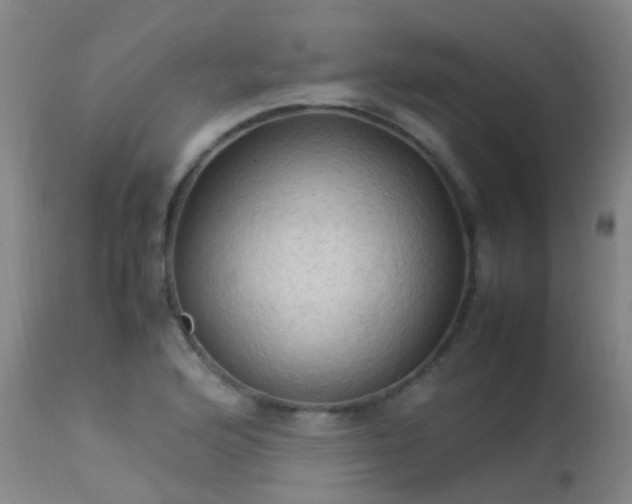 X0000113331176200909211213