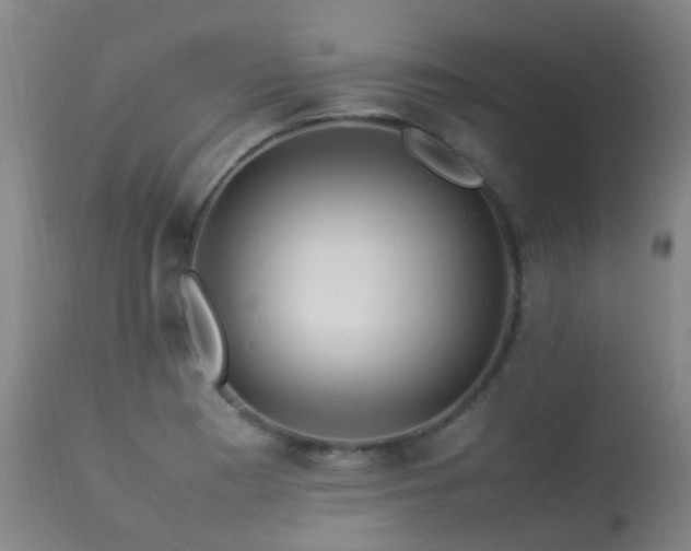 X0000113331177200909211213