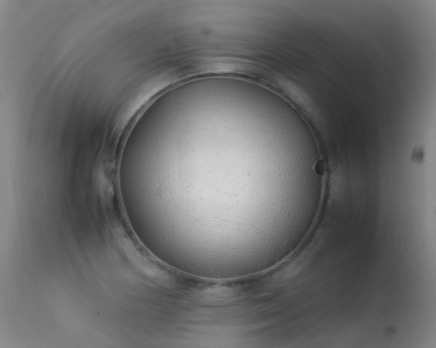 X0000113331178200909211213