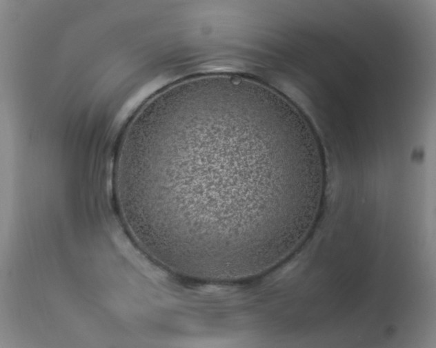 X0000113331179200909211213