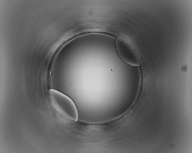 X0000113331181200909211213