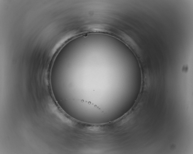 X0000113331182200909211213