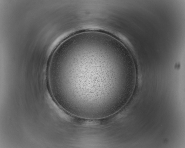 X0000113331183200909211213