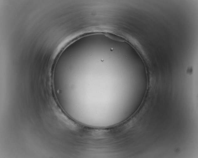 X0000113331184200909211213