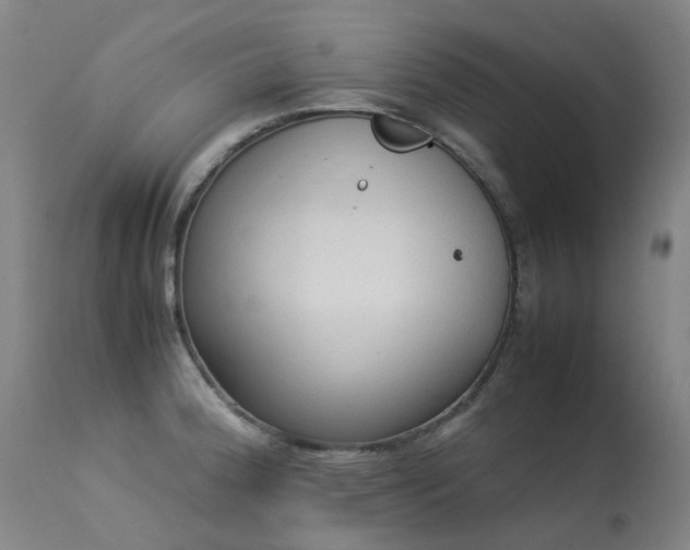 X0000113331188200909211213