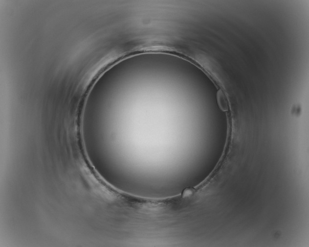 X0000113331189200909211213