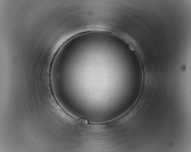 X0000113331192200909211213