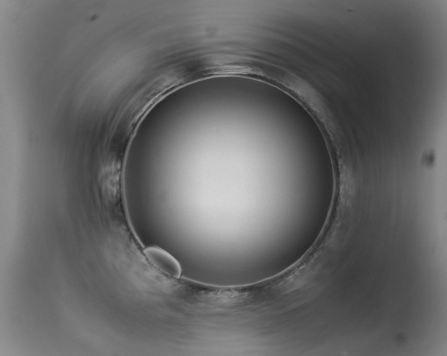 X0000113331193200909211212