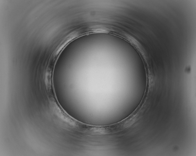X0000113331194200909211212