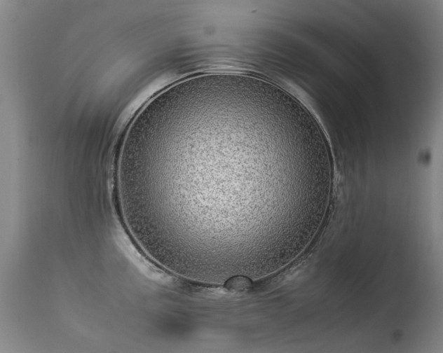 X0000113331195200909211212