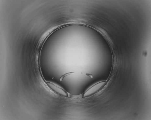 X0000113331196200909211212