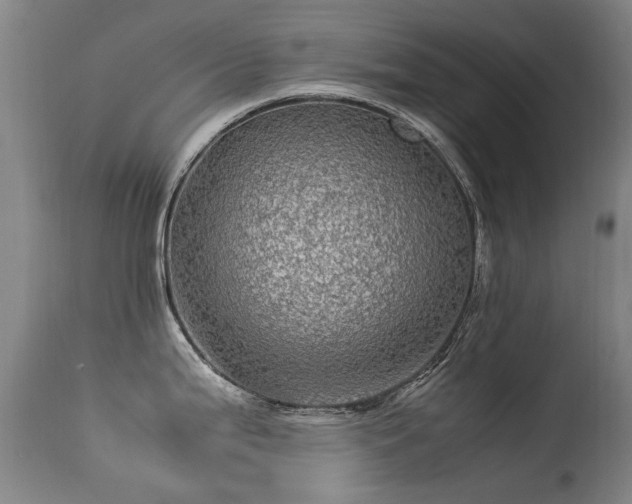 X0000113331199200909211212