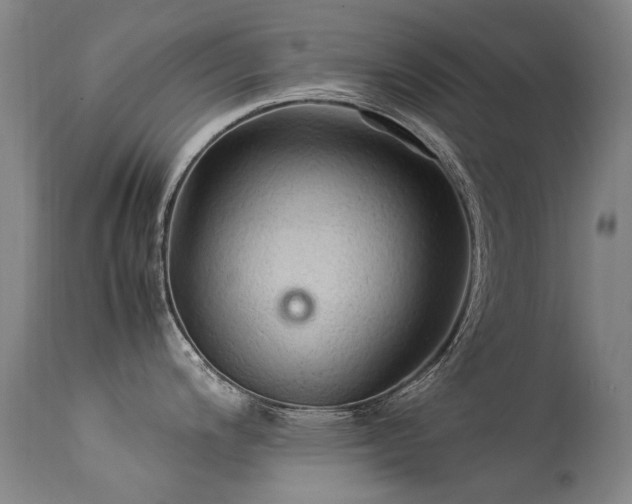 X0000113331200200909211212