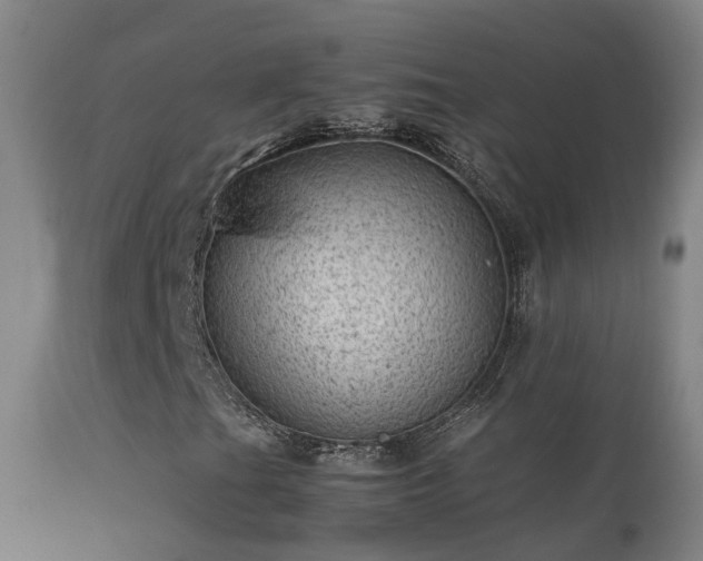 X0000113331201200909211212