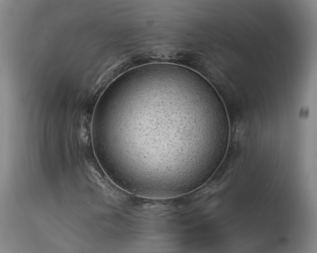X0000113331202200909211212