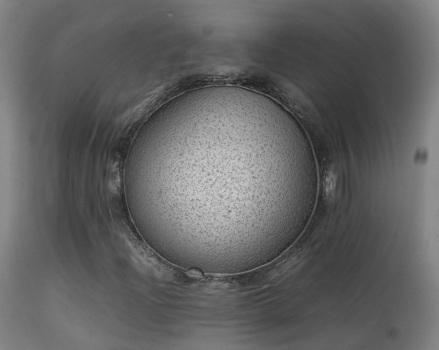 X0000113331204200909211212