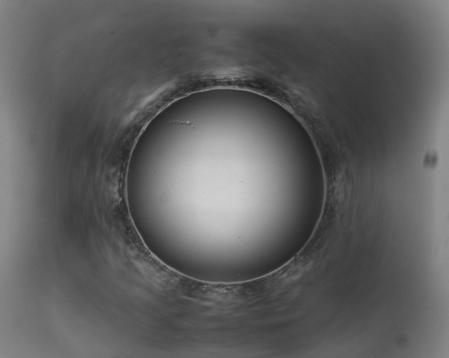 X0000113331205200909211212