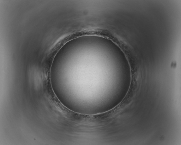 X0000113331206200909211212