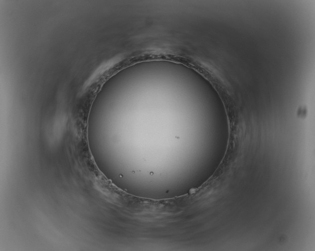 X0000113331207200909211212