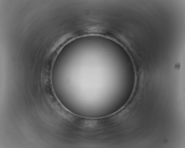 X0000113331211200909211212