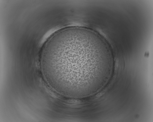 X0000113331215200909211212