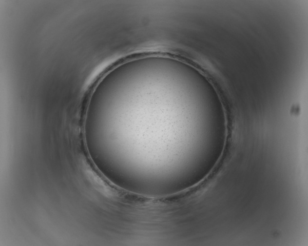 X0000113331216200909211212