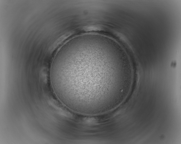 X0000113331217200909211212