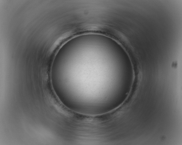 X0000113331218200909211212