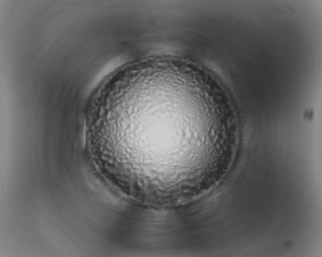 X0000113331219200909211212