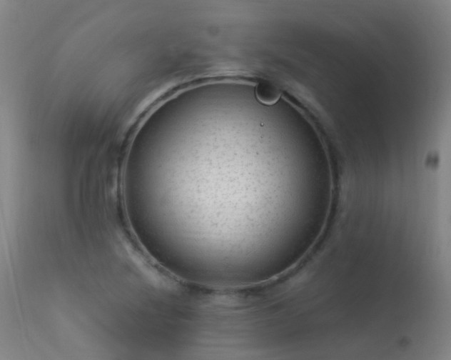 X0000113331220200909211212