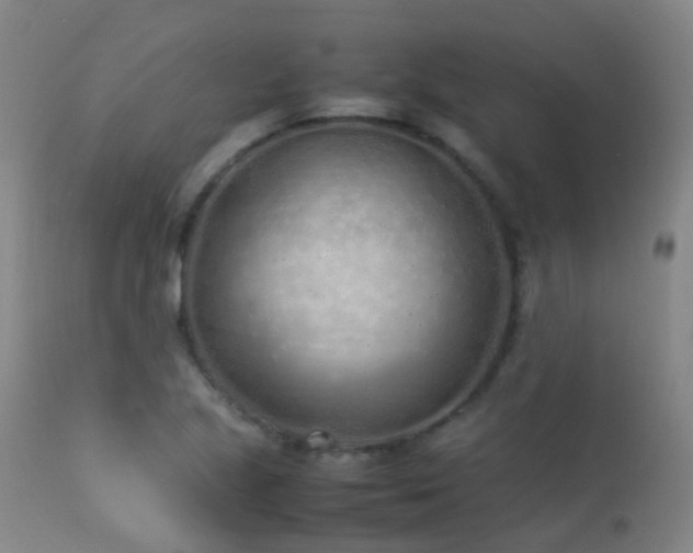 X0000113331221200909211212